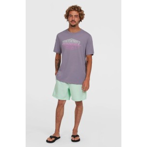 Ανδρικό Μαγιό Σορτς O'Neill Cali 16'' 2800204-16050 Mildrew Mint