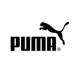 Ανδρικά Παπούτσια Running Puma Skyrocket Lite Engineered 310100-12