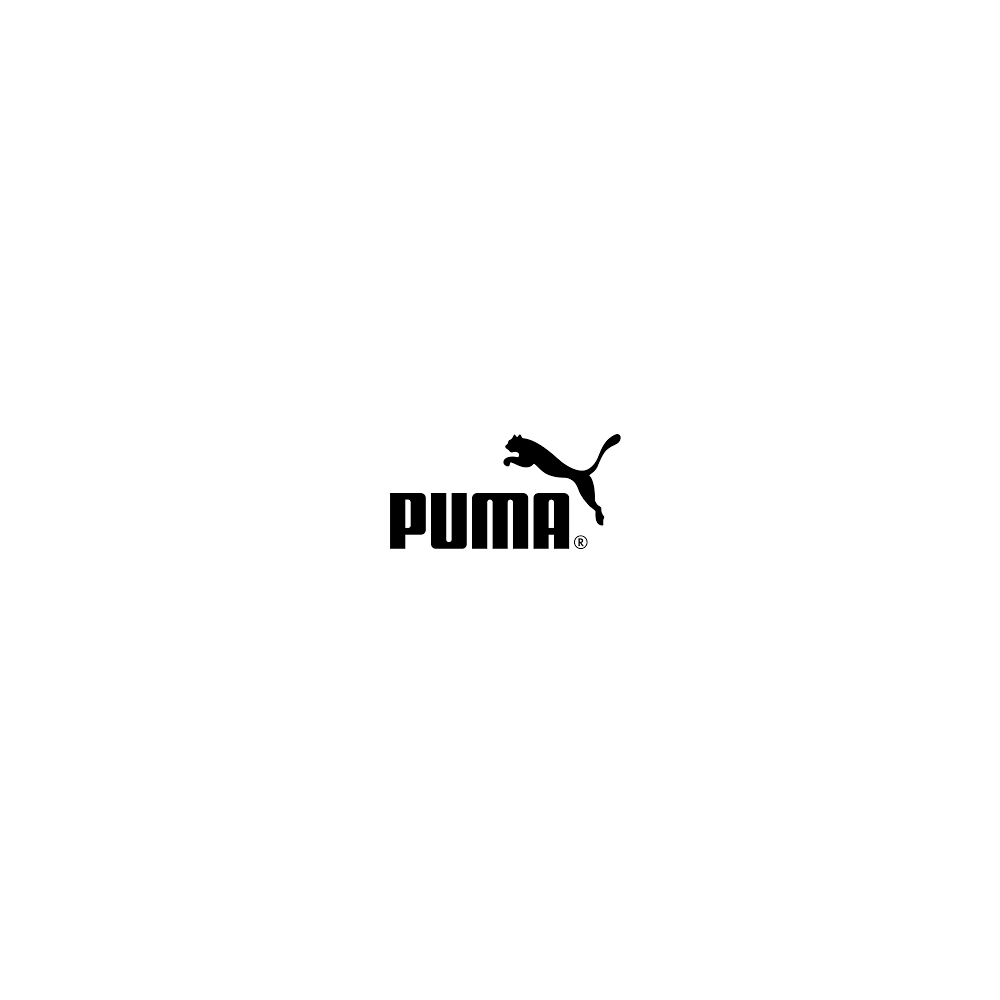 Γυναικεία Παπούτσια Running Puma Skyrocket Lite Engineered 310100-12