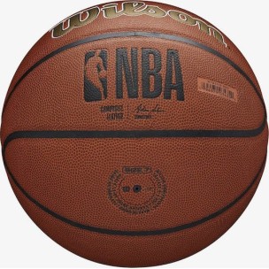 Μπάλα Μπάσκετ Wilson Nba Team Alliance Bskt New Orleans Pelicans WTB3100XBBNO (Size 7)
