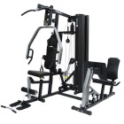 Πολυόργανο Γυμναστικής Horizon Torus 5  Με Βάρη 80kg