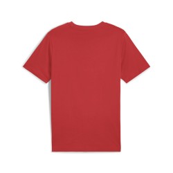 Ανδρικό T-Shirt Puma Graphics No.1 Logo Tee 684824-15