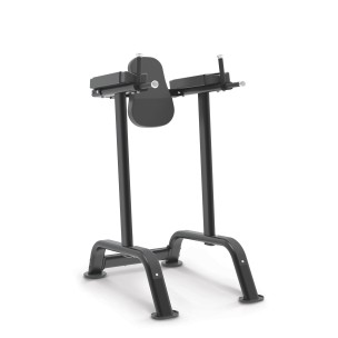 Μηχάνημα Βυθίσεων Impulse Vertical Knee Raise / Dip Stand (Μαύρο)
