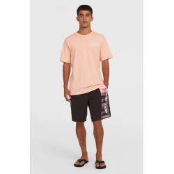 Ανδρικό Μαγιό Σορτς O'neill Men's Retro 19inch Swim Shorts  2800196-34029