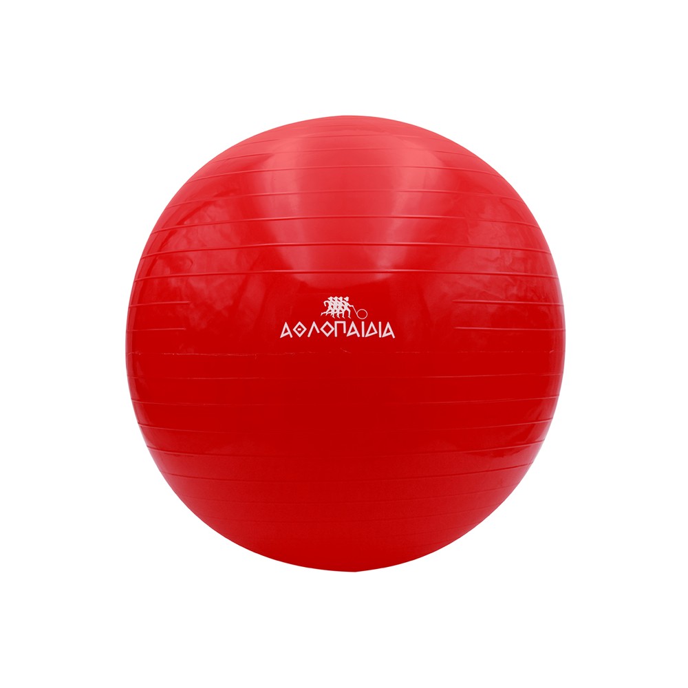 Μπάλα Γυμναστικής Αθλοπαιδιά 55cm 005.80017