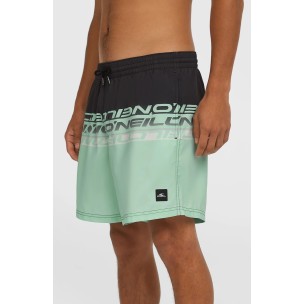 Ανδρικό Μαγιό Σορτς O'Neill...