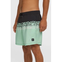 Ανδρικό Μαγιό Σορτς O'Neill Cali Stripe 16" 2800209-36089