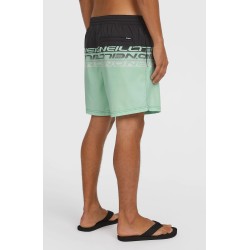 Ανδρικό Μαγιό Σορτς O'Neill Cali Stripe 16" 2800209-36089