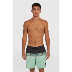 Ανδρικό Μαγιό Σορτς O'Neill Cali Stripe 16" 2800209-36089