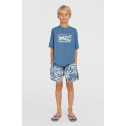 Παιδικό UV T-shirt O'Neill Hybrid 4850107-15064