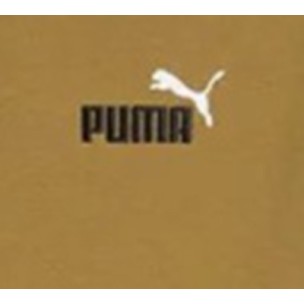 Aνδρικό Φούτερ με κουκούλα Puma ESS 2 COLOR Small No. 1 Logo Hoodie FL 684718-69