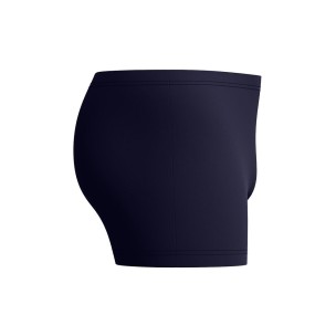 Ανδρικό Μαγιό Σορτς Speedo Medley Logo Aquashort 113541-8962