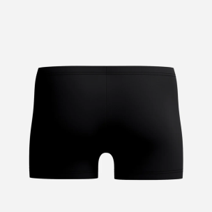 Ανδρικό Μαγιό Σορτς Speedo Medley Logo Aquashort 113541-8960