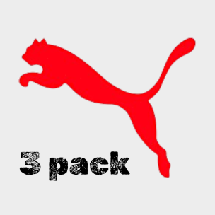 Ανδρικό Μποξεράκι Puma Men Everyday Basic Boxers 3P 701234187-007