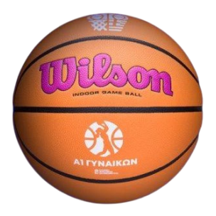 Μπάλα Μπάσκετ Wilson Evo Nxt A1 Γυναικών Greece Indoor WZ1022101XB6 (Size 6)