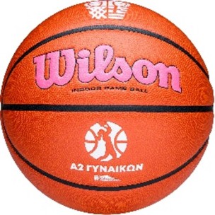 Μπάλα Μπάσκετ Wilson Evo Nxt A2 Γυναικών Greece Indoor WZ1022201XB6 (Size 6)