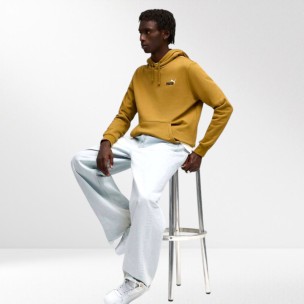 Aνδρικό Φούτερ με κουκούλα Puma ESS 2 COLOR Small No. 1 Logo Hoodie FL 684718-69