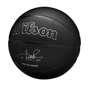 Μπάλα Μπάσκετ Wilson Evergreen Bskt Giannis Antetokounmpo WZ4026701XB7 (Size 7)