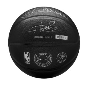 Μπάλα Μπάσκετ Wilson Evergreen Bskt Giannis Antetokounmpo WZ4026701XB7 (Size 7)