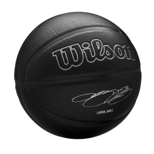 Μπάλα Μπάσκετ Wilson Evergreen Bskt Lebron James WZ4026801XB7 (Size 7)