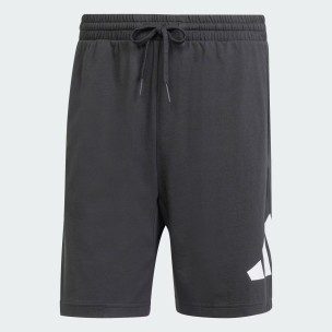 Ανδρική Βερμούδα Adidas Essentials Big Logo Single Jersey Shorts IS6909