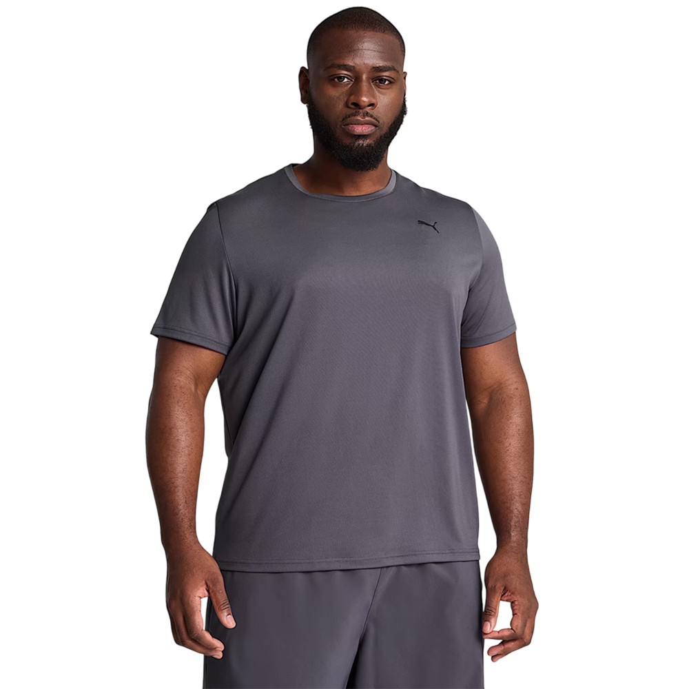 Ανδρικό T-Shirt Puma Essentials T-shirt 525908-69