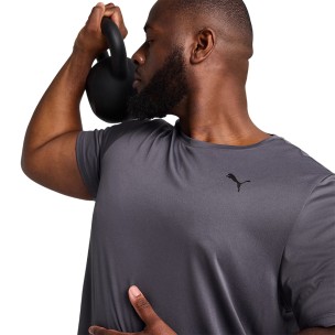 Ανδρικό T-Shirt Puma Essentials T-shirt 525908-69