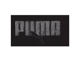 Ανδρικό T-Shirt Puma Ess Logo Lab Story 2 Tee 692026-01