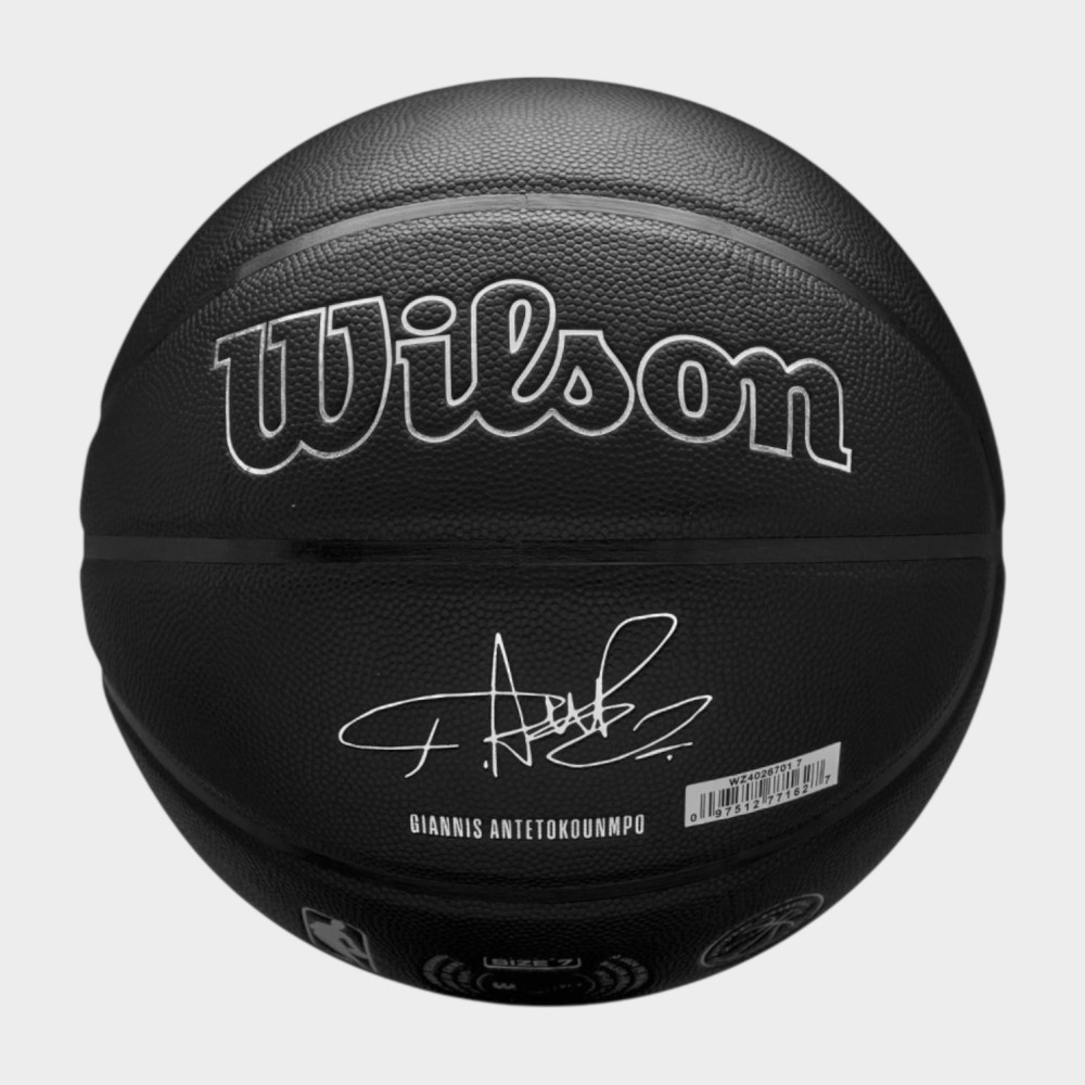 Μπάλα Μπάσκετ Wilson Evergreen Bskt Giannis Antetokounmpo WZ4026701XB7 (Size 7)