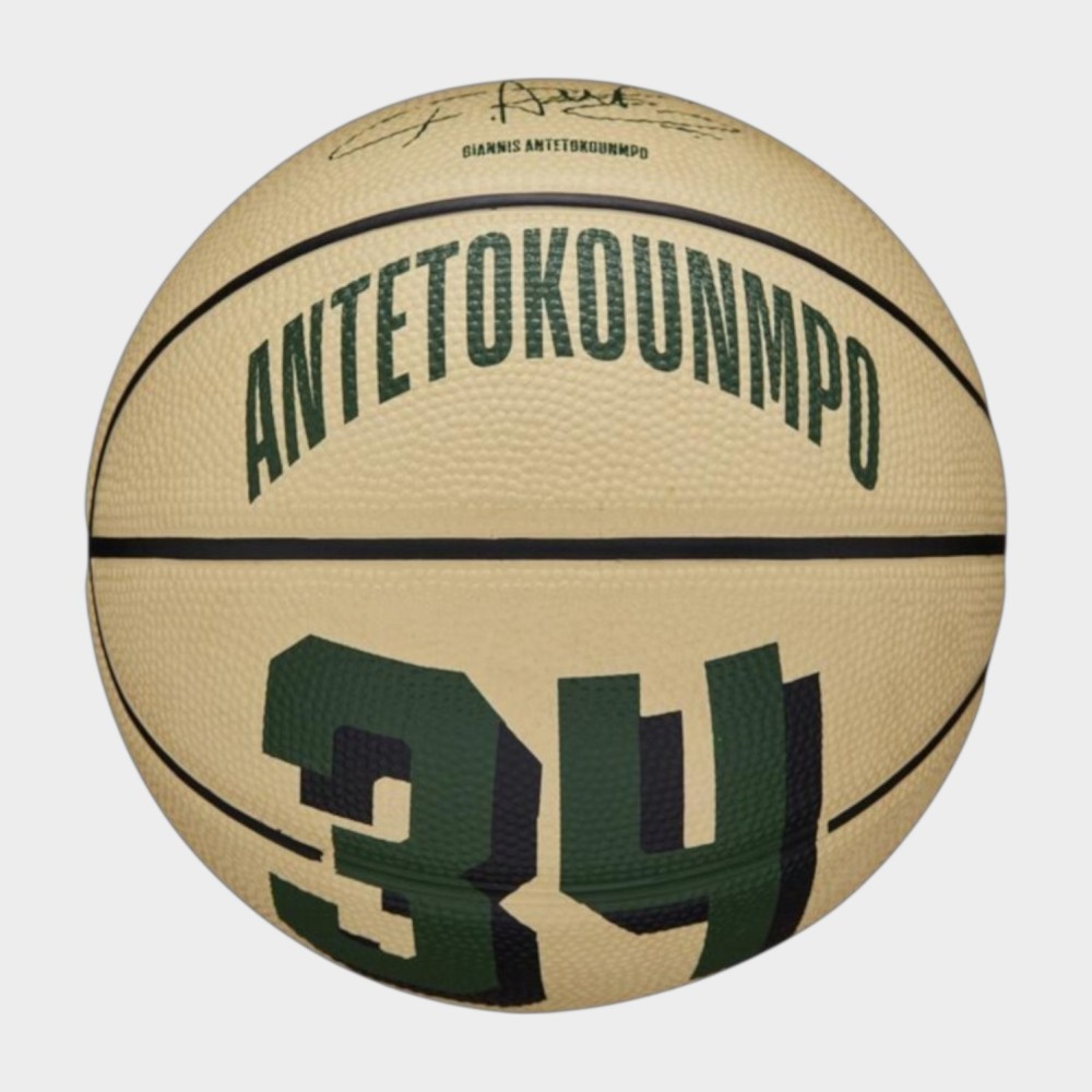 Μπάλα Μπάσκετ Wilson NBA Player Icon Mini BSKT Giannis Antetokounmpo WZ4007501XB3 (Size 3)