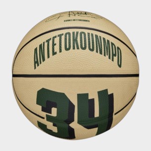 Μπάλα Μπάσκετ Wilson NBA Player Icon Mini BSKT Giannis Antetokounmpo WZ4007501XB3 (Size 3)