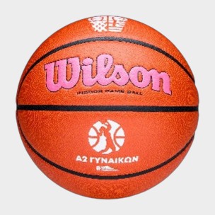 Μπάλα Μπάσκετ Wilson Evo Nxt A2 Γυναικών Greece Indoor WZ1022201XB6 (Size 6)