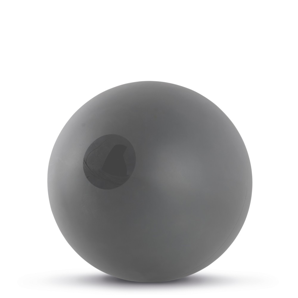 Μπάλα Power Pilates 24 cm 300 gr Dark Grey Amila 48073