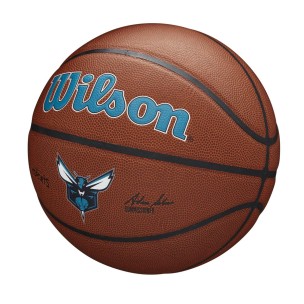 Μπάλα Μπάσκετ Wilson Nba Team Alliance Bskt Charlotte Hornets WZ4029304XB7 (Size 7)