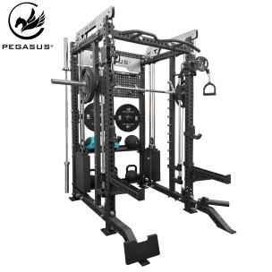 Πολυόργανο Pegasus PG 2000 All In One Trainer
