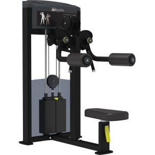 Μηχάνημα Δελτοειδούς Impulse Lateral Raise IF9324