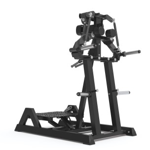 Μηχάνημα Πλαϊνών Εκτάσεων Ώμων Impulse Standing Lateral Raise ECP103