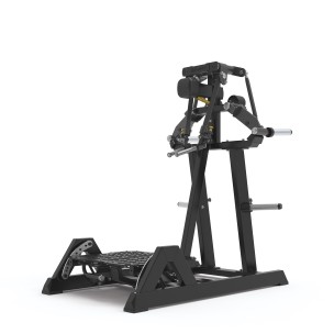 Μηχάνημα Πλαϊνών Εκτάσεων Ώμων Impulse Standing Lateral Raise ECP103
