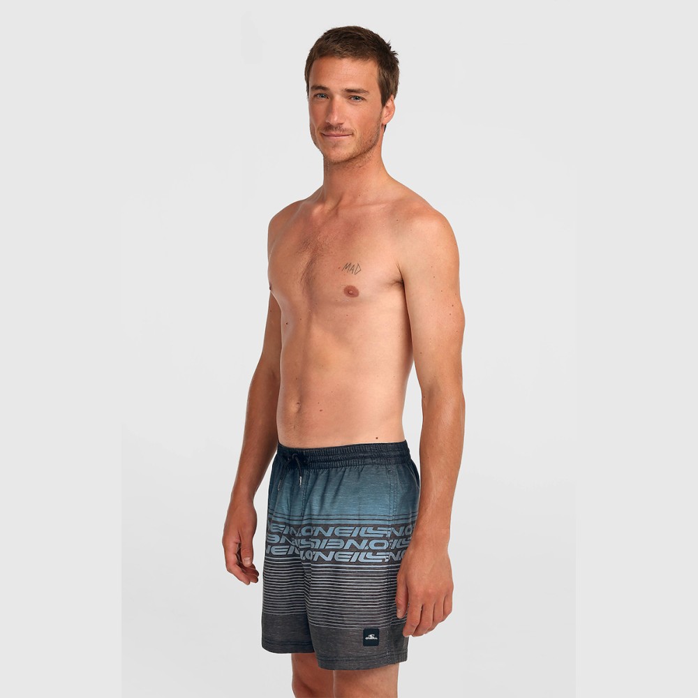 Ανδρικό Μαγιό Σορτς ONeill Logo Stripe 16 Swimshorts 2800259-29039