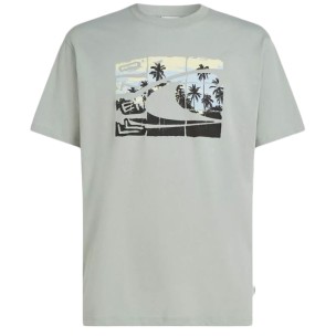 Ανδρικό T-Shirt ONEILL M GRADIENT T-SHIRT 2850360-16061