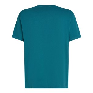 Ανδρικό T-Shirt O'NEILL Beach Chest Print T-Shirt 2850378-15097
