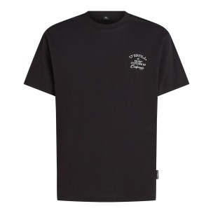 Ανδρικό T-Shirt O'NEILL Beach Chest Print T-Shirt 2850378-19010