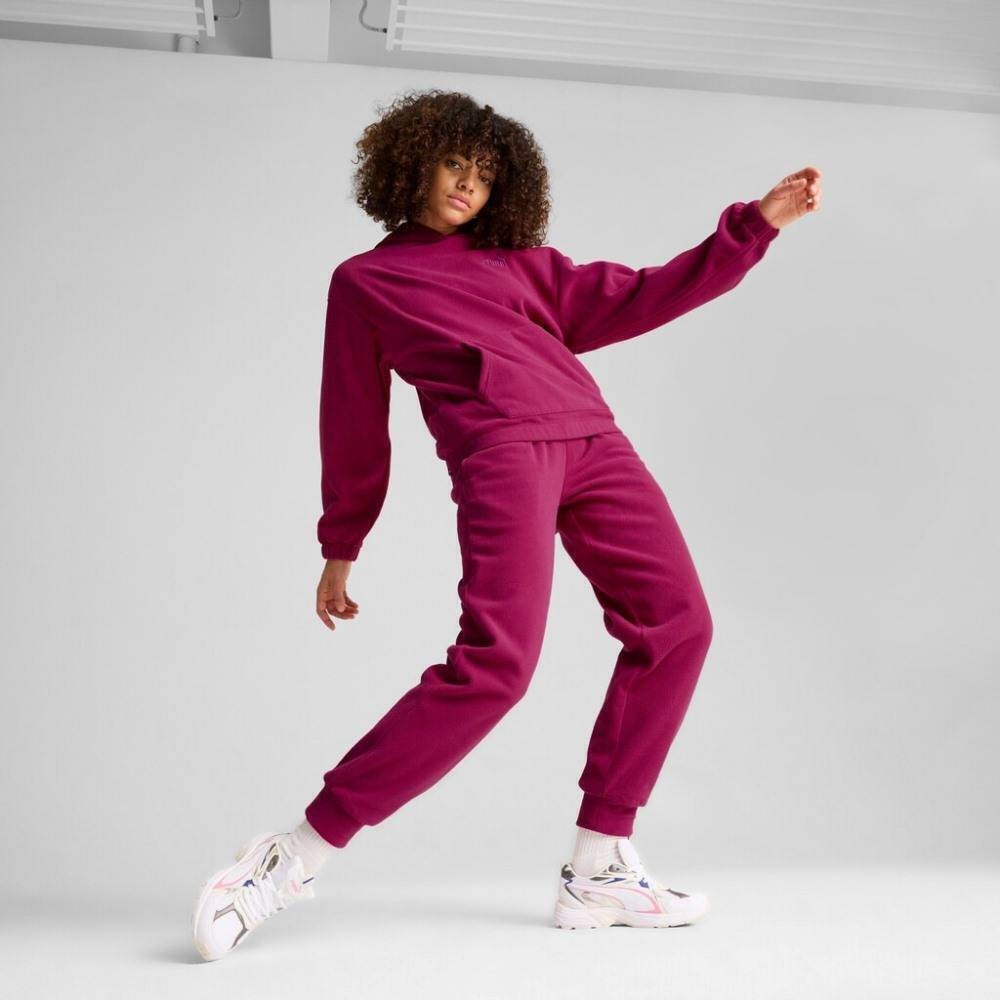 Γυναικείο Παντελόνι Φόρμας Puma ESS Elevated Winterized Pants 681532-45