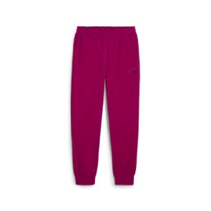 Γυναικείο Παντελόνι Φόρμας Puma ESS Elevated Winterized Pants 681532-45