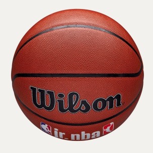 Μπάλα Μπάσκετ Wilson JR Nba Fam Logo Auth Indoor/Outdoor Bskt WZ2018401XB6 (Size 6)