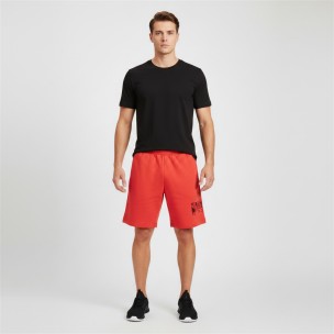 Ανδρική Βερμούδα Puma ESS Logo Lab Story 2 Shorts 10''  TR 692030-11