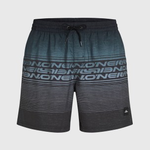 Ανδρικό Μαγιό Σορτς ONeill Logo Stripe 16 Swimshorts 2800259-29039