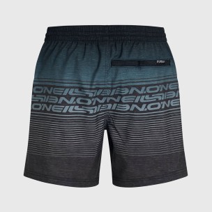 Ανδρικό Μαγιό Σορτς ONeill Logo Stripe 16 Swimshorts 2800259-29039