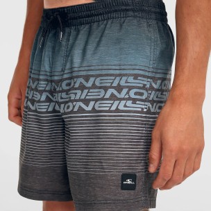 Ανδρικό Μαγιό Σορτς ONeill Logo Stripe 16 Swimshorts 2800259-29039