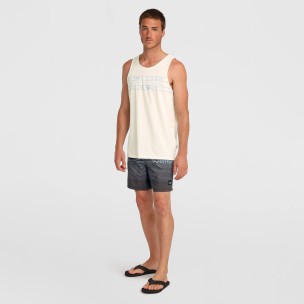 Ανδρικό Μαγιό Σορτς ONeill Logo Stripe 16 Swimshorts 2800259-29039